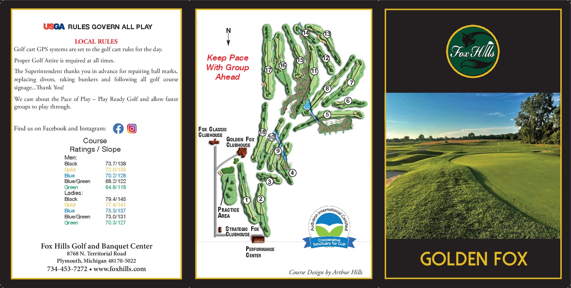 Golden_Fox_6x12_2026_(2)00001