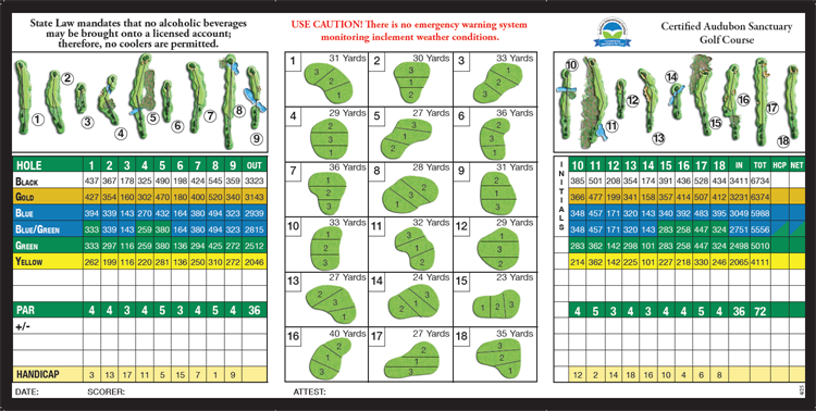 Golden Fox Scorecard